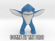 Drunk Shark