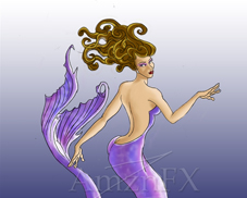 illustrator